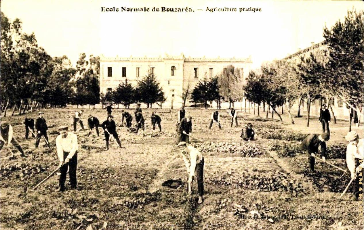 Alger-Bouzareah - Ecole Normale - Agriculture pratique.jpg